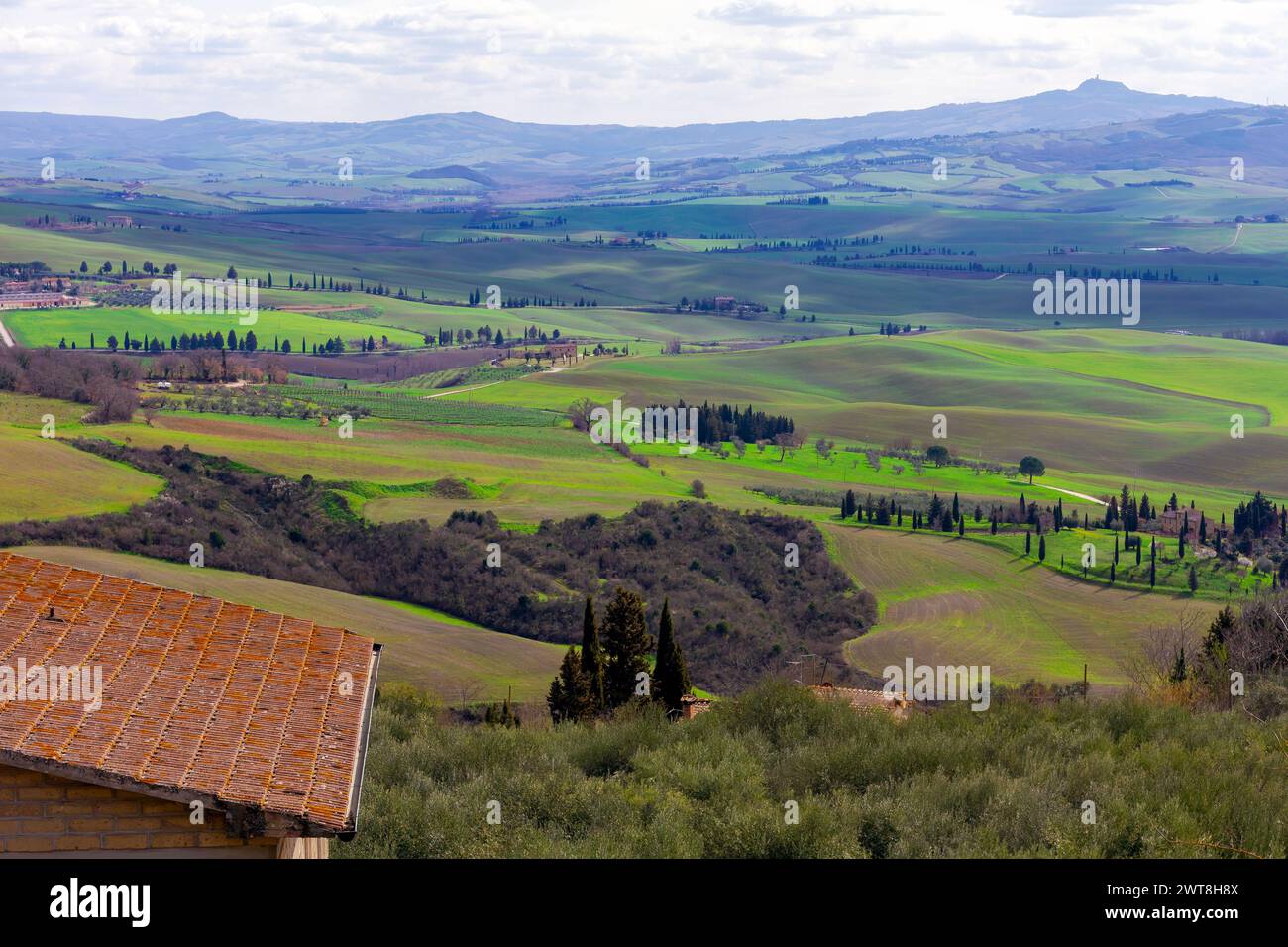 Wunderschöne Landschaft der grünen Hügel der Toskana im malerischen Val d' Orcia, in der Nähe von Siena und Florenz, mit Zypressen, endlosen Feldern und sanften Hügeln Stockfoto