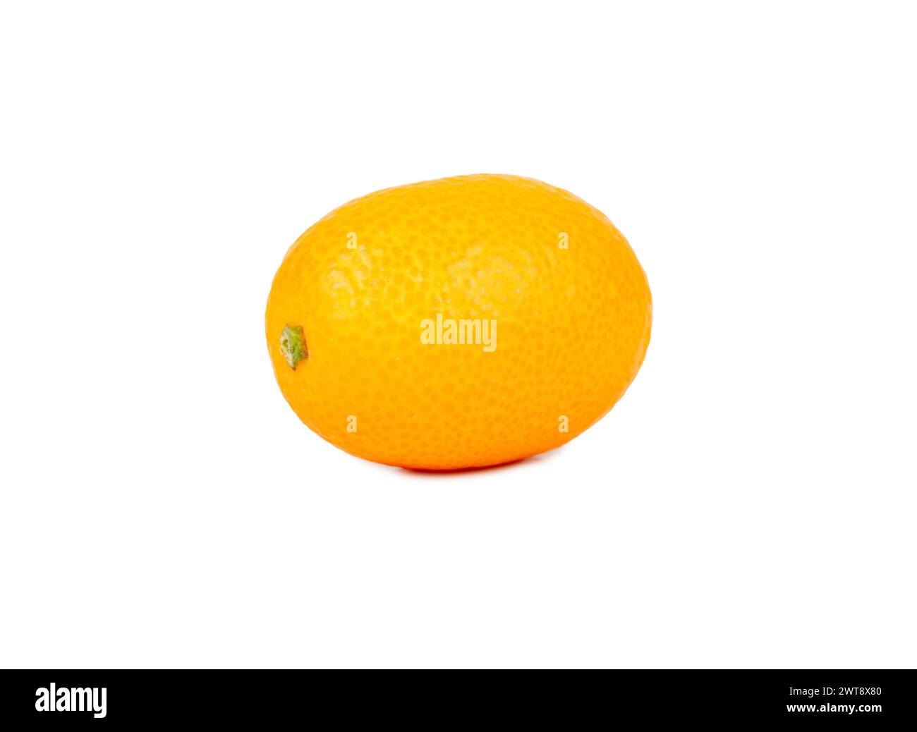 Frische Kumquatfrucht isoliert auf weißem Hintergrund Stockfoto