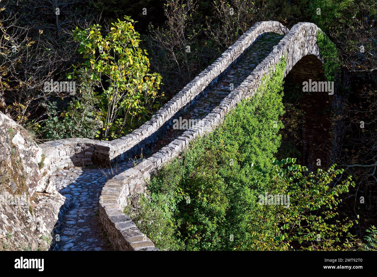 Blick auf eine traditionelle Steinbrücke im Agrafa-Gebirge im Zentrum Griechenlands Stockfoto