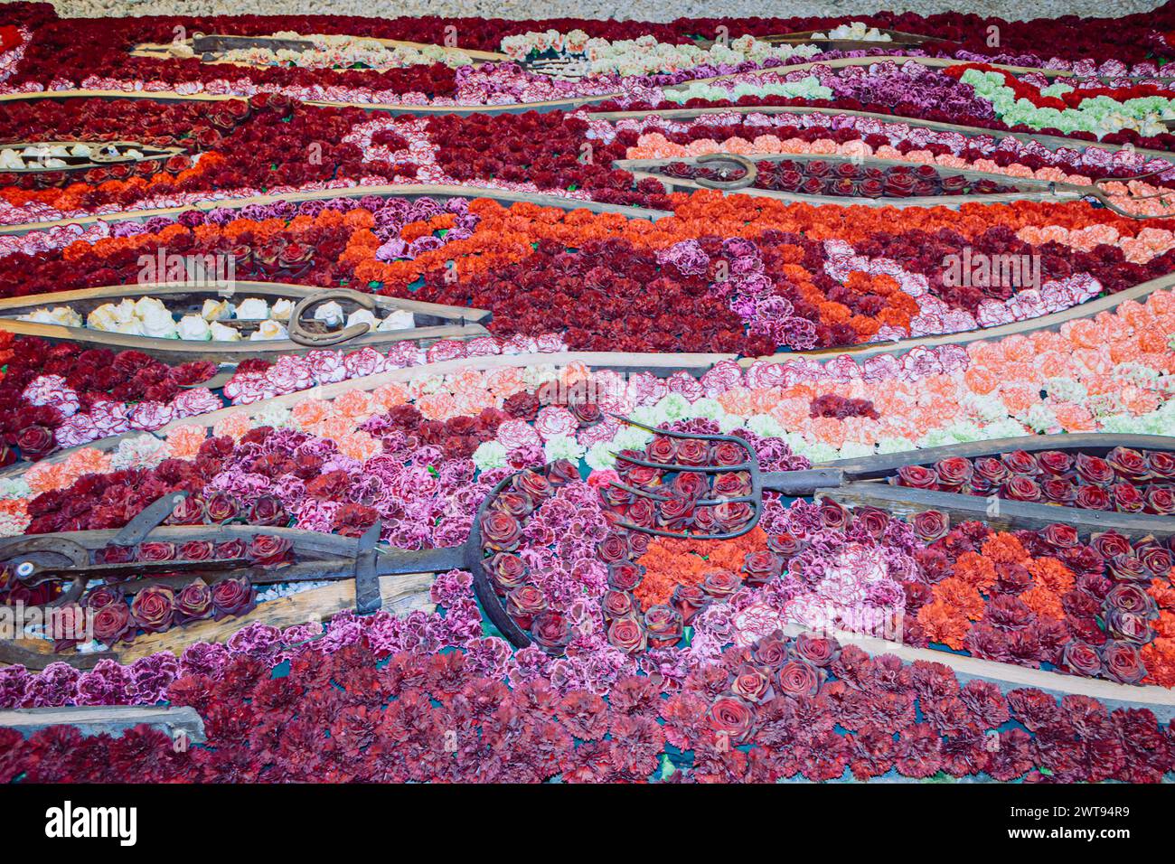 Girona, Spanien, 14. Mai 2013: Eine Symphonie der Blüten: Die lebendigen Blumenteppiche von Temps de Flors in Girona Stockfoto