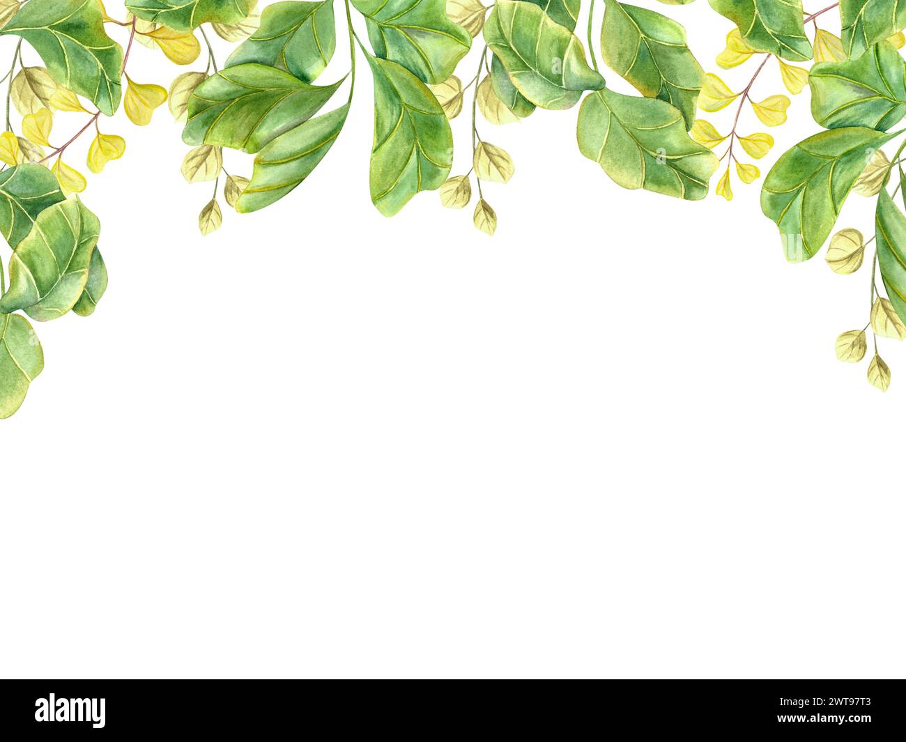 Horizontaler Rahmen mit grünen Pflanzen. Zimmerpflanze, Geige, Abb. Wiesenkräuter. Riesige Äste mit grünen Blättern. Aquarellabbildung zur Begrüßung Stockfoto