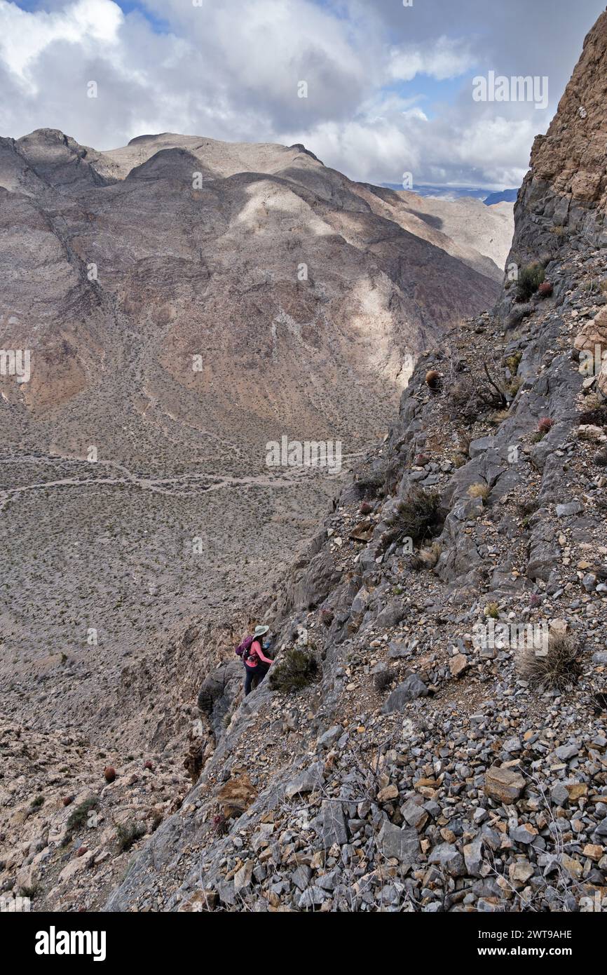 Frau, die die Seite des Landfill Peak in der Wüste von Nevada hochklettert Stockfoto