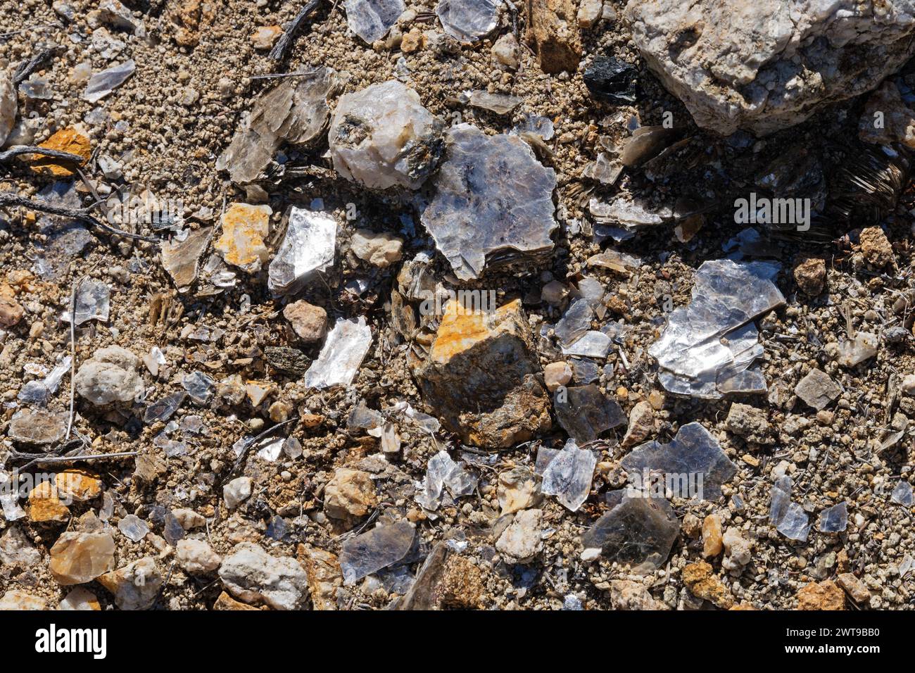 Wüstenboden bedeckt mit Granitkies und großen Glimmerflocken Stockfoto