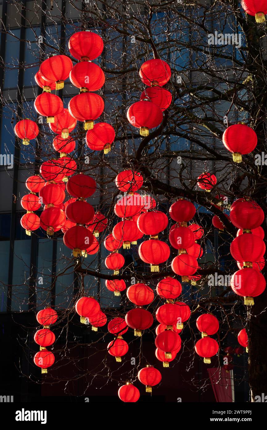 Rote Laternen hängen im Baum im Stadtzentrum von Liverpool, um das Neujahrsfest zu feiern Stockfoto