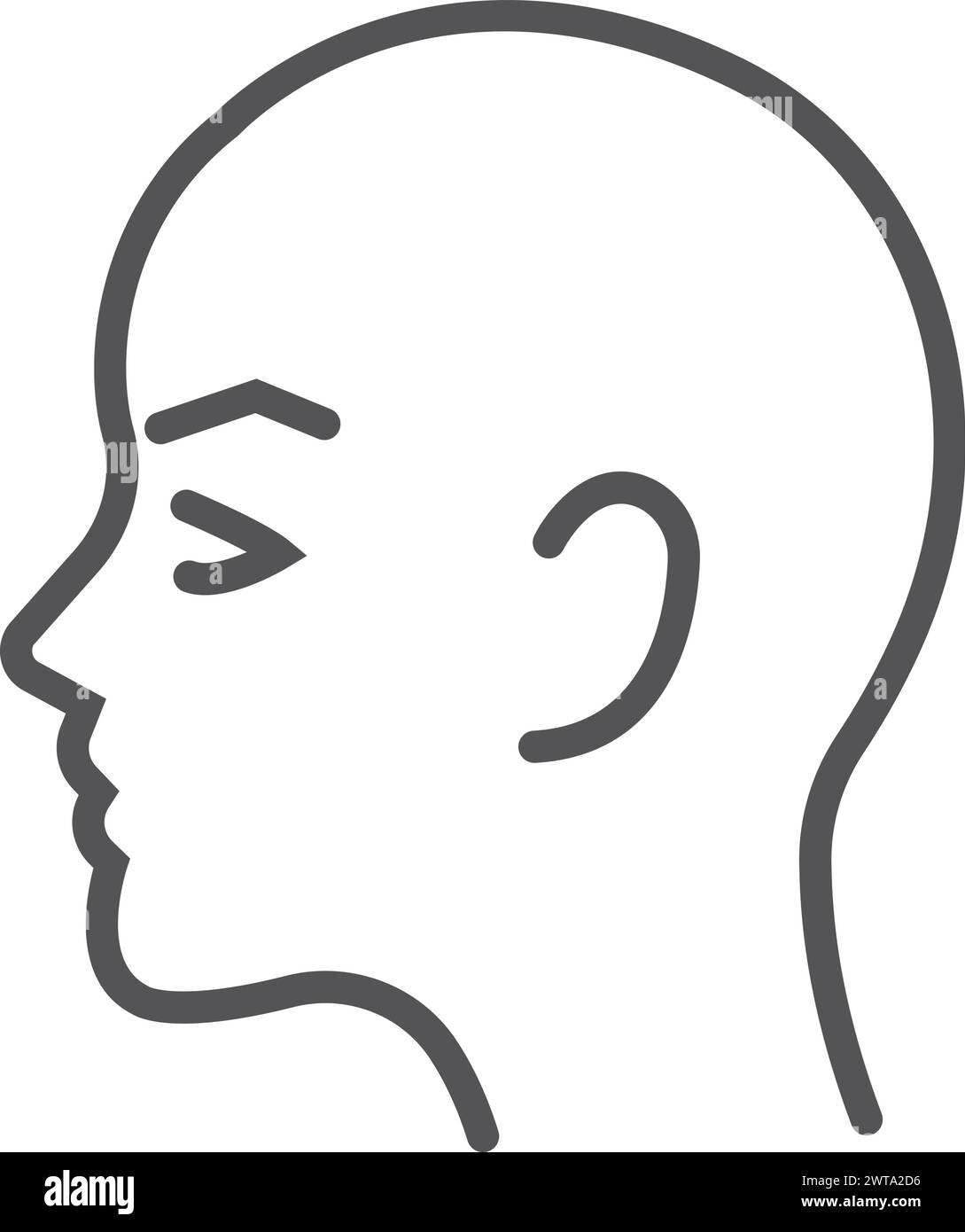 Innenkopf, Seitenansicht. Das haarlose Frauenmodell Stock Vektor