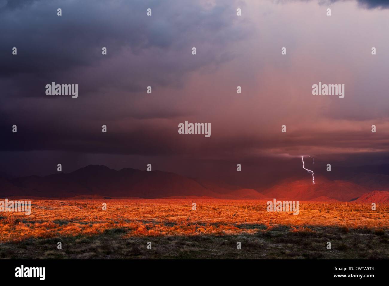 Stürmischer Himmel mit dunklen Wolken und Blitzen in der Wüste bei Phoenix, Arizona Stockfoto