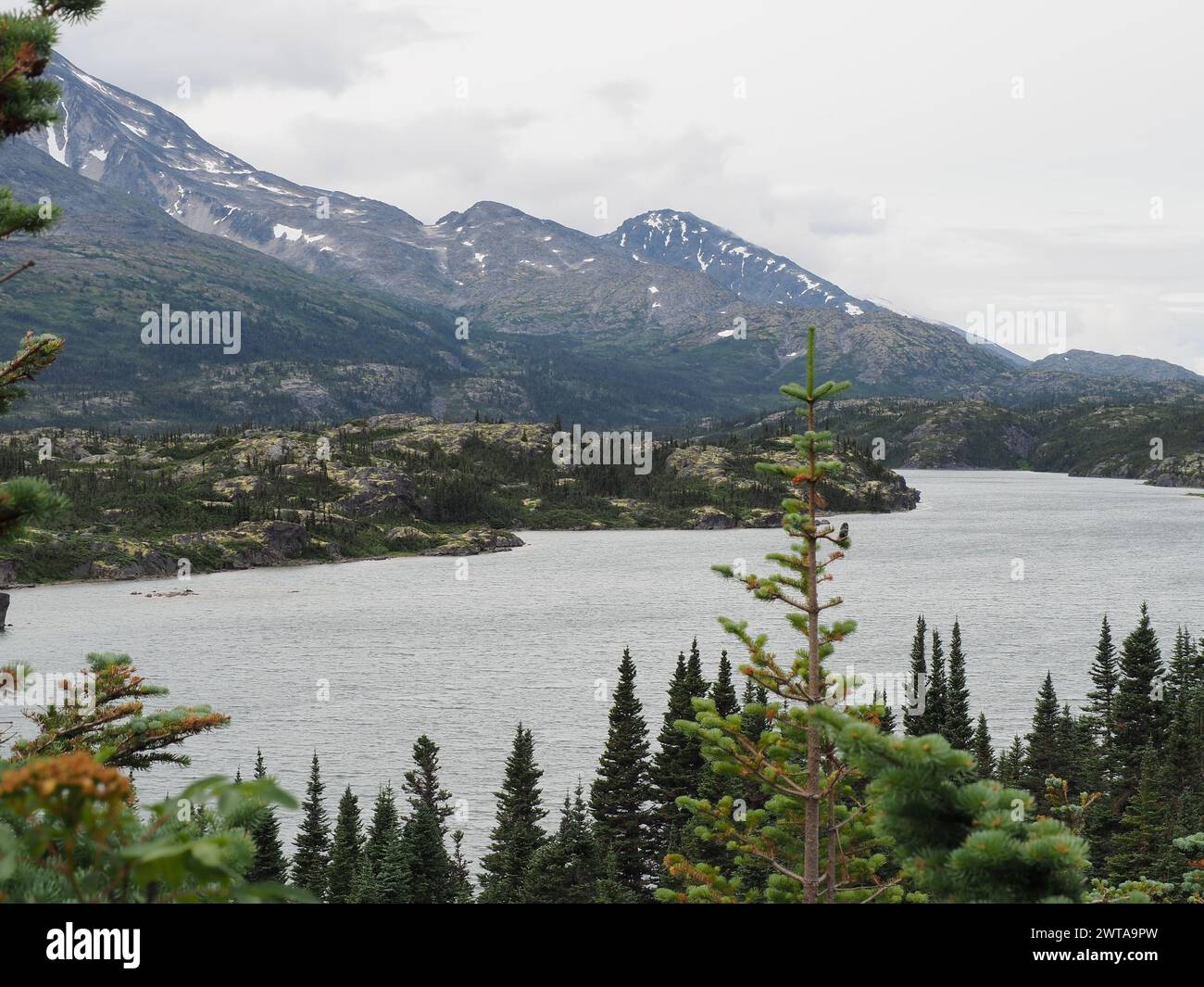 Auf dem Weg nach Skagway, Alaska, entfaltet sich die raue Schönheit mit majestätischen Bergen, üppigen Evergreens und einem ruhigen Wasserweg inmitten von rauem Gelände Stockfoto