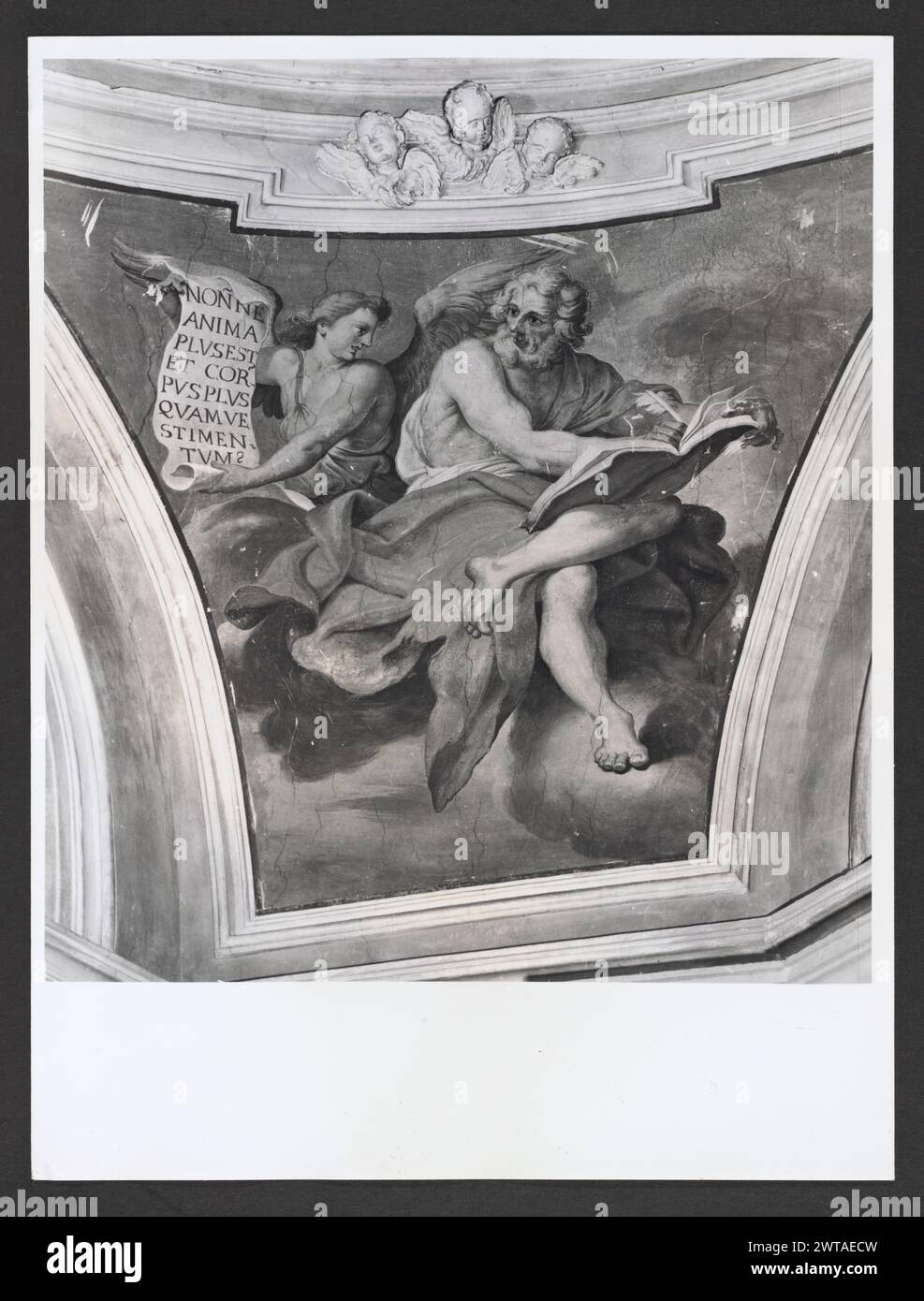 Lazio Rieti Leonessa S. Giuseppe da Leonessa2. Hutzel, Max 1960-1990 Nachmittelalterliche: Architektur, Architekturskulptur (18. Jahrhundert), barocke Doppelkuppeleinrichtung mit Fresken, Wandmalereien, Skulptur und Reliquien des in Italien geborenen Fotografen und Gelehrten Max Hutzel (1911–1988), fotografiert von Anfang der 1960er Jahre bis zu seinem Tod. Das Ergebnis dieses Projektes, von Hutzel als Foto Arte Minore bezeichnet, ist eine gründliche Dokumentation der kunsthistorischen Entwicklung in Italien bis zum 18. Jahrhundert, einschließlich der Objekte der Etrusker und Römer sowie des frühmittelalterlichen R Stockfoto Lazio Rieti Leonessa S. Giuseppe da Leonessa2. Hutzel, Max 1960-1990 Nachmittelalterliche: Architektur, Architekturskulptur (18. Jahrhundert), barocke Doppelkuppeleinrichtung mit Fresken, Wandmalereien, Skulptur und Reliquien des in Italien geborenen Fotografen und Gelehrten Max Hutzel (1911–1988), fotografiert von Anfang der 1960er Jahre bis zu seinem Tod. Das Ergebnis dieses Projektes, von Hutzel als Foto Arte Minore bezeichnet, ist eine gründliche Dokumentation der kunsthistorischen Entwicklung in Italien bis zum 18. Jahrhundert, einschließlich der Objekte der Etrusker und Römer sowie des frühmittelalterlichen R Stockfoto