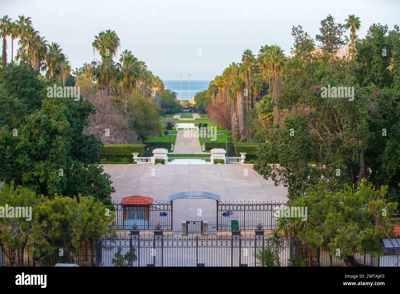 Le jardin d'essai der botanische Garten von Algier el Hamma Algerien Stockfoto