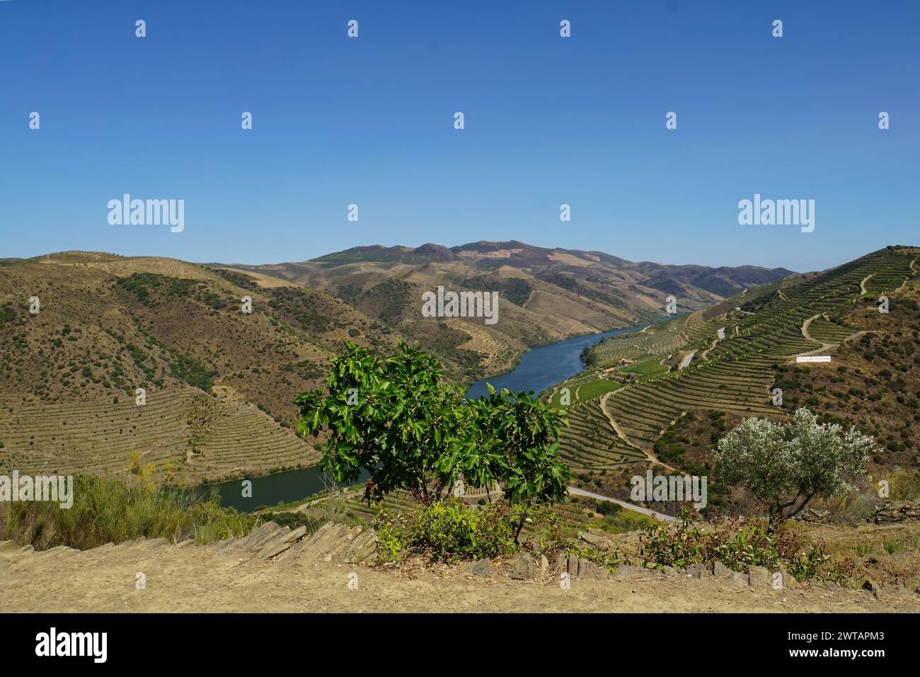 Rio Douro atravessa um vale de vinhas em Trás-OS-Montes Stockfoto