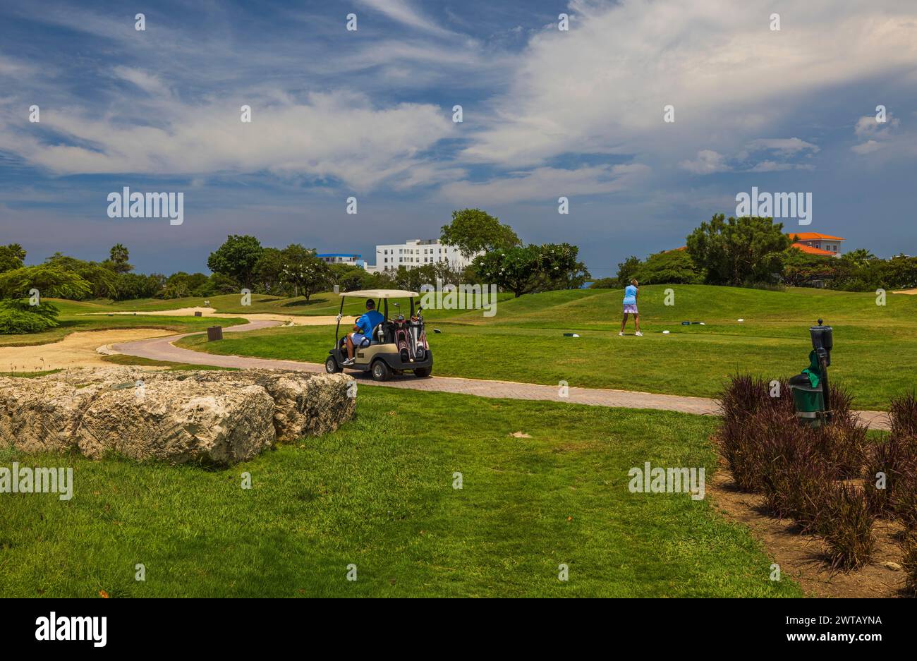 Wunderschöner Blick auf die Golfspieler auf einem Golfplatz mit Palmen im Hintergrund, mit Golfwagen. Stockfoto