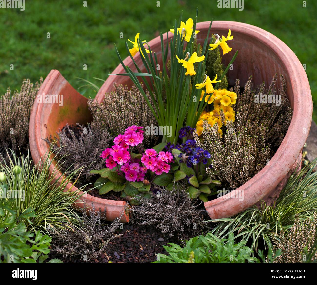 Osterdekoration, Narzissen, Primeln, Heidekraut, Tontopf, Baden-Württemberg, Deutschland Stockfoto