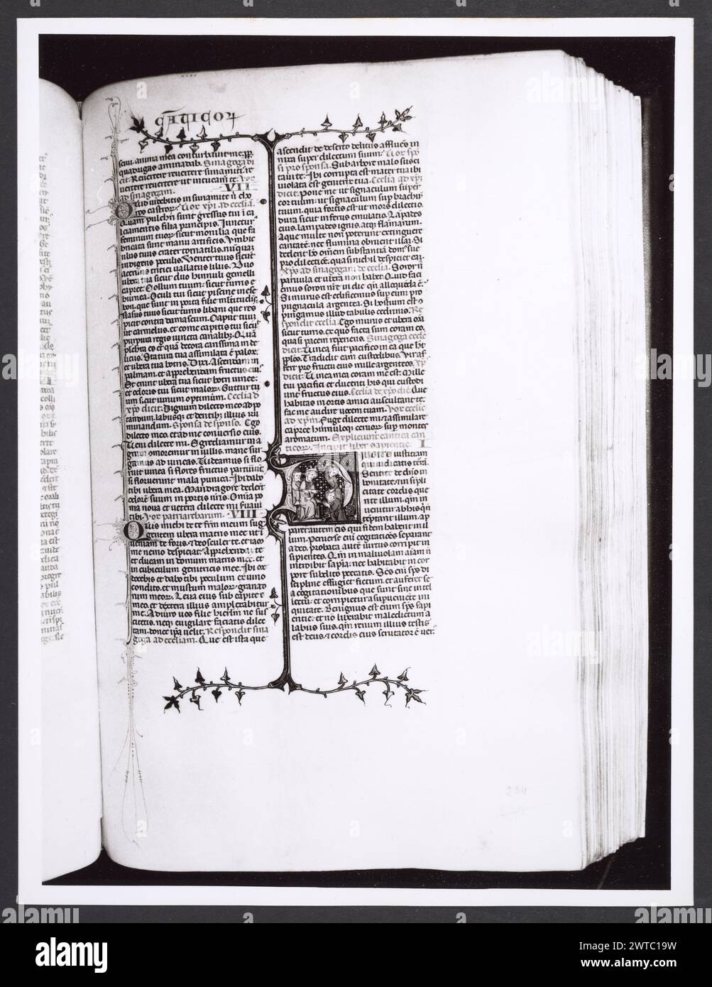 Emilia-Romagna Forli Cesena Biblioteca Comunale1. Hutzel, Max. 1960-1990 .. Mittelalter: Manuskripte: 1) Laurentius Rusius: 'De cura equorum' (15. Jahrhundert) BCM S.XXVI.2 2) Paolo Veneto: 'Geschichte der Ursprünge der Welt durch Heinrich VII.' (14. Jahrhundert) BCM S.XI.5 3) S. Isidorus: Etymologien (Ende des 8. bis Anfang des 9. Jahrhunderts) BCM S.XXI.5 4) Evangeliumsbuch (Evangeliario), Griechisch (10. Jahrhundert) BCM D.XXVII.4 5) Pentateuch, Propheten und Hagiographien, Hebräisch (1348) BCM S.XXIX.1 6) Somnium Scipionis, Sonstiges. (14.-15. Jahrhundert) BCM S.XII.6 7) Boethius: "De Consolatione Philosophie" (14. Jahrhundert) BCM Stockfoto