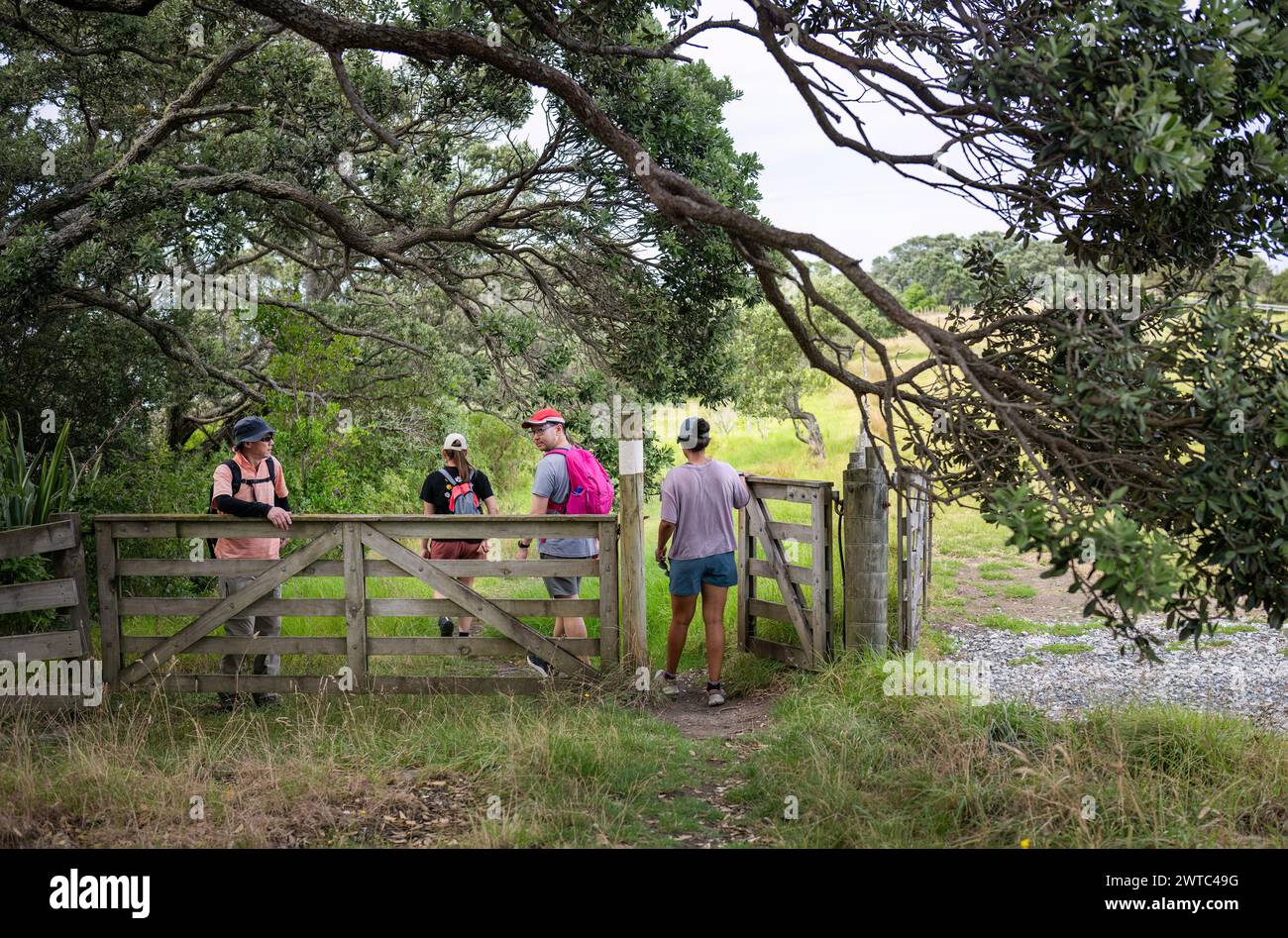 Leute, die durch das Tor des Bauernhofs auf einem Wanderweg laufen. Lassen Sie Tore, wie Sie sie finden. Shakespear Regional Park. Auckland. Stockfoto