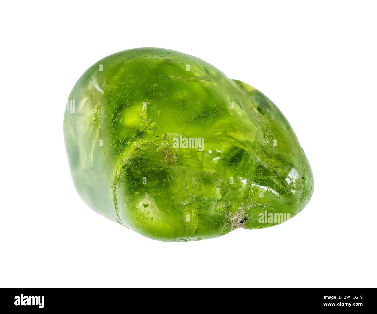 Exemplar von natürlichem Peridot-Edelsteinausschnitt auf weißem Hintergrund Stockfoto