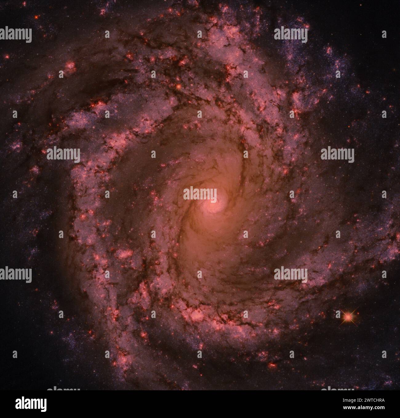 Spiral Galaxy in Deep Space: Messier 61-Elemente dieses Bildes, bereitgestellt von der NASA. Stockfoto