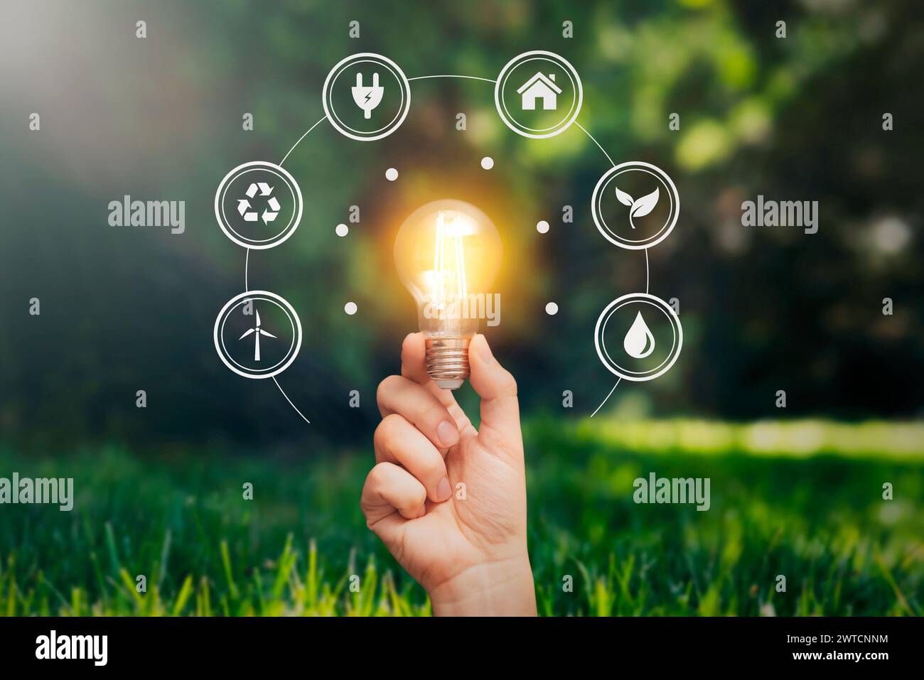 Eine Hand, die eine Glühbirne hält, ECO Symbols Konzept Stockfoto