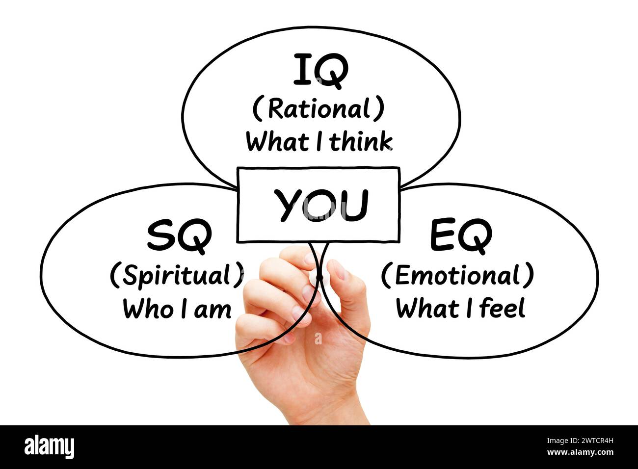 Handzeichnung Diagramm Konzept über IQ Intelligenz Quotient, SQ spirituell oder sozial Quotient und EQ emotionale Intelligenz isoliert auf weißem Hintergrund Stockfoto