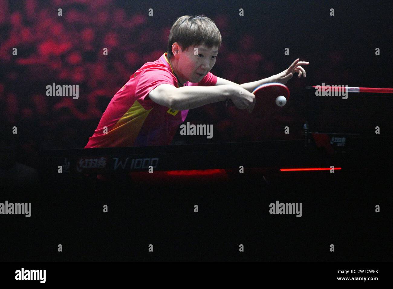 Singapur. März 2024. Wang Manyu aus China trifft beim World Table Tennis Singapore Smash 2024 in Singapur am 17. März 2024 im Singlefinale der Frauen gegen ihren Landsmann Wang Yidi. Quelle: Dann Chih Wey/Xinhua/Alamy Live News Stockfoto