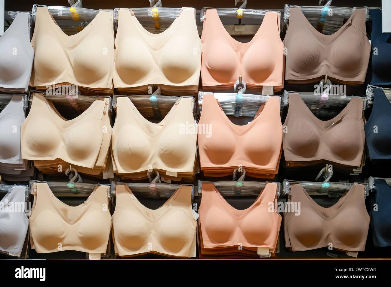 Viele verschiedene schöne Damenunterwäsche. Viele bunte BHs und Unterwäsche in verschiedenen Größen im Dessous Shop Kaufhaus. Super Sa Stockfoto