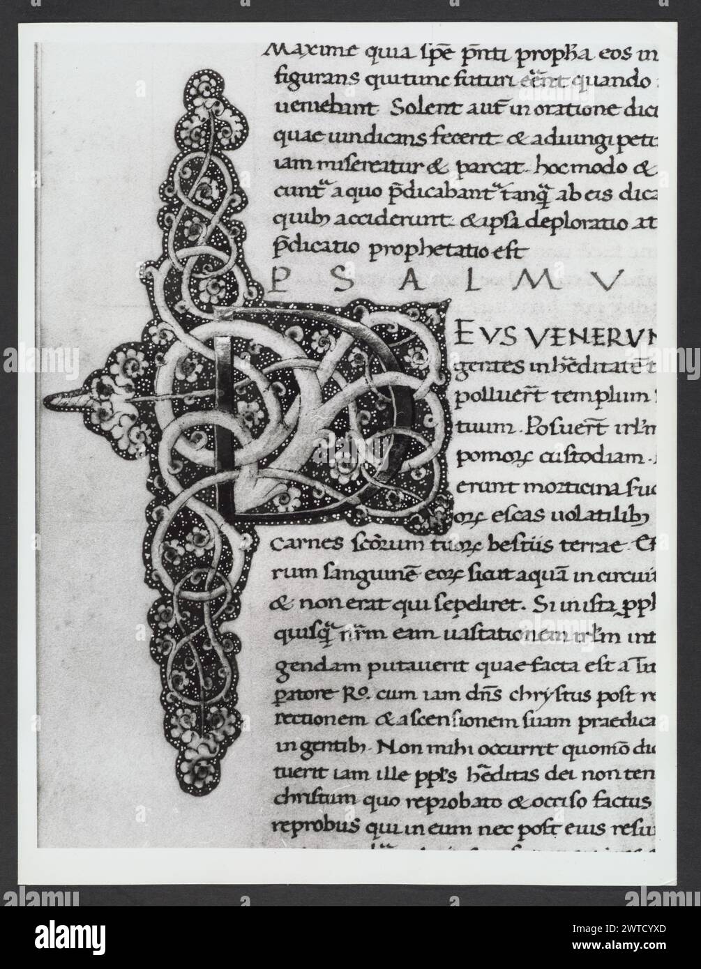 Emilia-Romagna Forli Cesena Biblioteca Comunale47. Hutzel, Max. 1960-1990 .. Mittelalter: Manuskripte: 1) Laurentius Rusius: 'De cura equorum' (15. Jahrhundert) BCM S.XXVI.2 2) Paolo Veneto: 'Geschichte der Ursprünge der Welt durch Heinrich VII.' (14. Jahrhundert) BCM S.XI.5 3) S. Isidorus: Etymologien (Ende des 8. bis Anfang des 9. Jahrhunderts) BCM S.XXI.5 4) Evangeliumsbuch (Evangeliario), Griechisch (10. Jahrhundert) BCM D.XXVII.4 5) Pentateuch, Propheten und Hagiographien, Hebräisch (1348) BCM S.XXIX.1 6) Somnium Scipionis, Sonstiges. (14.-15. Jahrhundert) BCM S.XII.6 7) Boethius: "De Consolatione Philosophie" (14. Jahrhundert) v. Chr Stockfoto