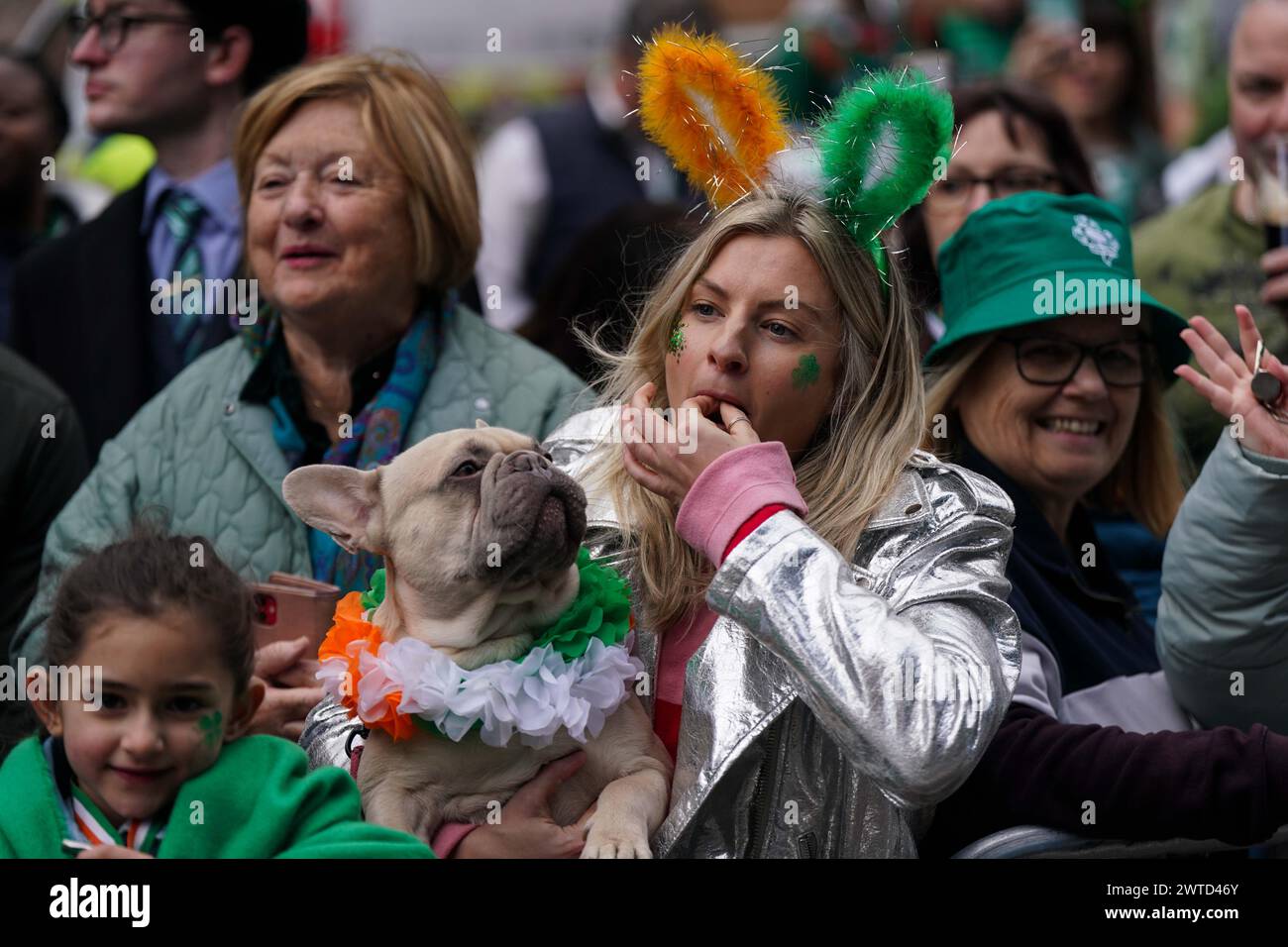 Eine Frau mit ihren französischen Bulldog-Uhrenkünstlern nimmt an der St. Patrick's Day Parade in Birmingham Teil. Bilddatum: Sonntag, 17. März 2024. Stockfoto