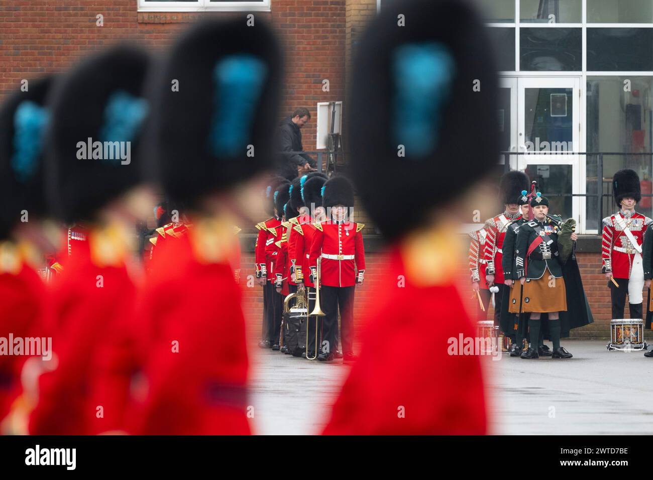 Mons Barracks, Aldershot, Hampshire, Großbritannien. März 2024. Das Regiment der Irish Guards versammelt sich in einer speziellen St. Patrick's Day Parade und Feier in Aldershot. Die Parade ist ein Höhepunkt des Jahres für dieses duale Regiment, das seine irischen kulturellen Wurzeln bewahrt. Die Parade besteht aus dem 1st Battalion Irish Guards, der No. 9 Company Irish Guards, der No. 12 Company Irish Guards, der Band of the Irish Guards, Reserven der No. 15 (Loos) Company Irish Guards (The London Guards), Veteranen und Kadetten der Irish Guards, und die unnachahmlichen Pfeifen der irischen Garde und das Regimental Irish Wolfhound Mascot, Stockfoto