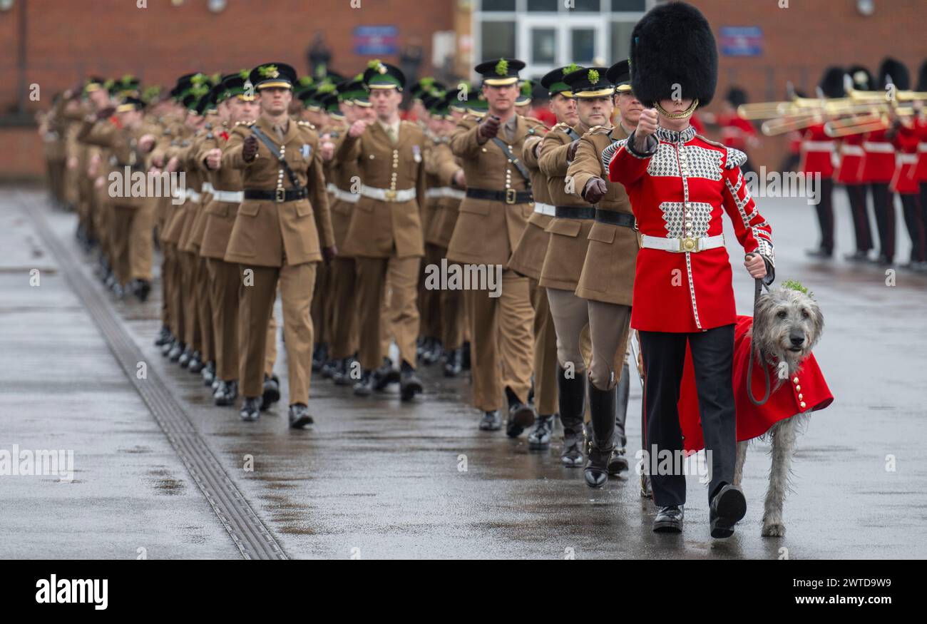 Mons Barracks, Aldershot, Hampshire, Großbritannien. März 2024. Das Regiment der Irish Guards versammelt sich in einer speziellen St. Patrick's Day Parade und Feier in Aldershot. Die Parade ist ein Höhepunkt des Jahres für dieses duale Regiment, das seine irischen kulturellen Wurzeln bewahrt. Die Parade besteht aus dem 1st Battalion Irish Guards, der No. 9 Company Irish Guards, der No. 12 Company Irish Guards, der Band of the Irish Guards, Reserven der No. 15 (Loos) Company Irish Guards (The London Guards), Veteranen und Kadetten der Irish Guards, und die unnachahmlichen Pfeifen der irischen Garde und das Regimental Irish Wolfhound Mascot, Stockfoto