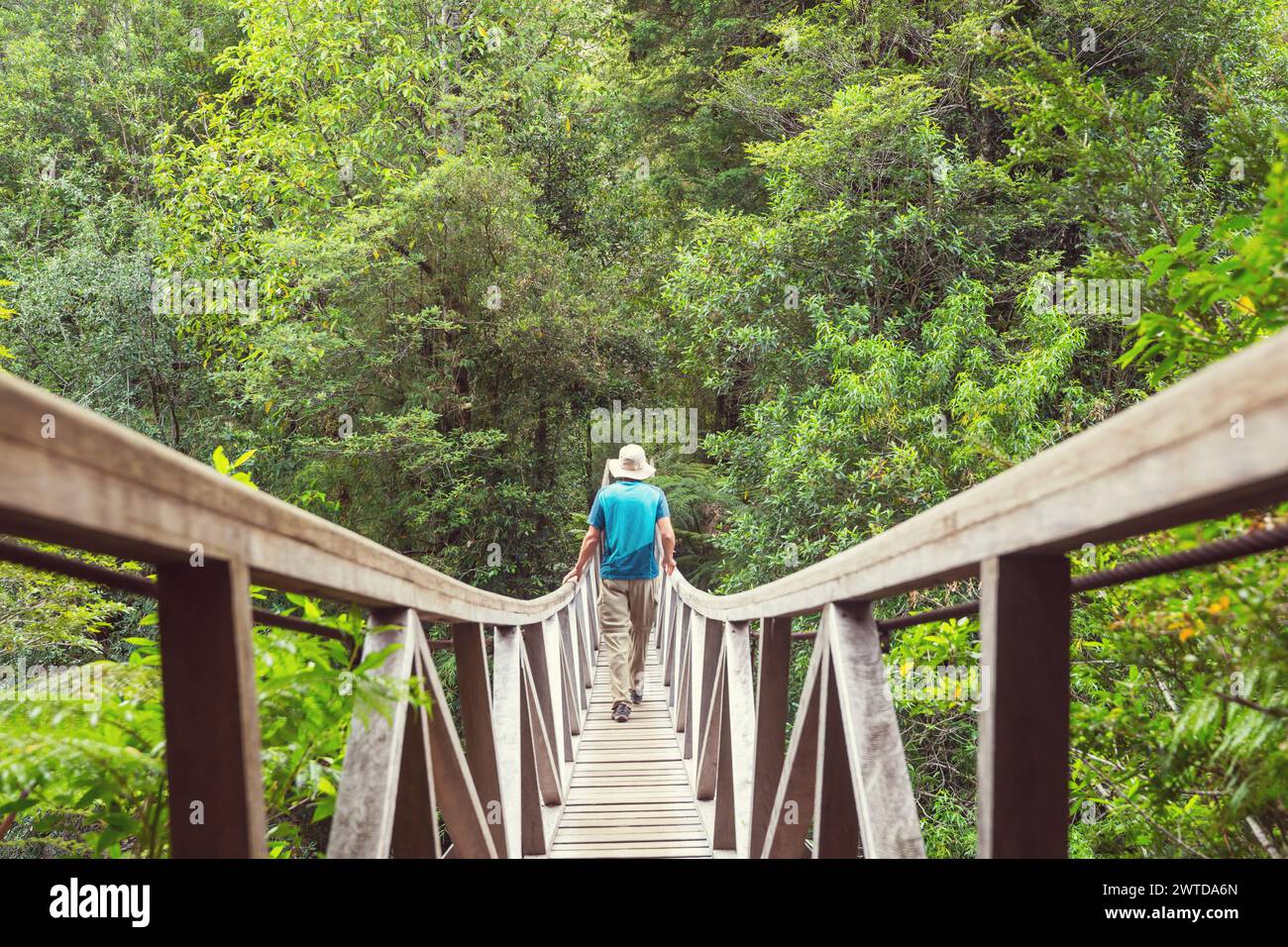 Holzbrücke über den Fluss in grünem Wald Stockfoto