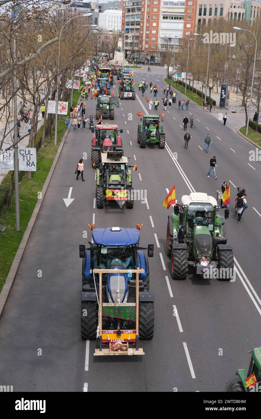 Mehrere Traktoren während eines Protestes von Bauern und Viehzüchtern gegen Verbesserungen im ländlichen Sektor im Zentrum von Madrid am 17. März 2024. Stockfoto