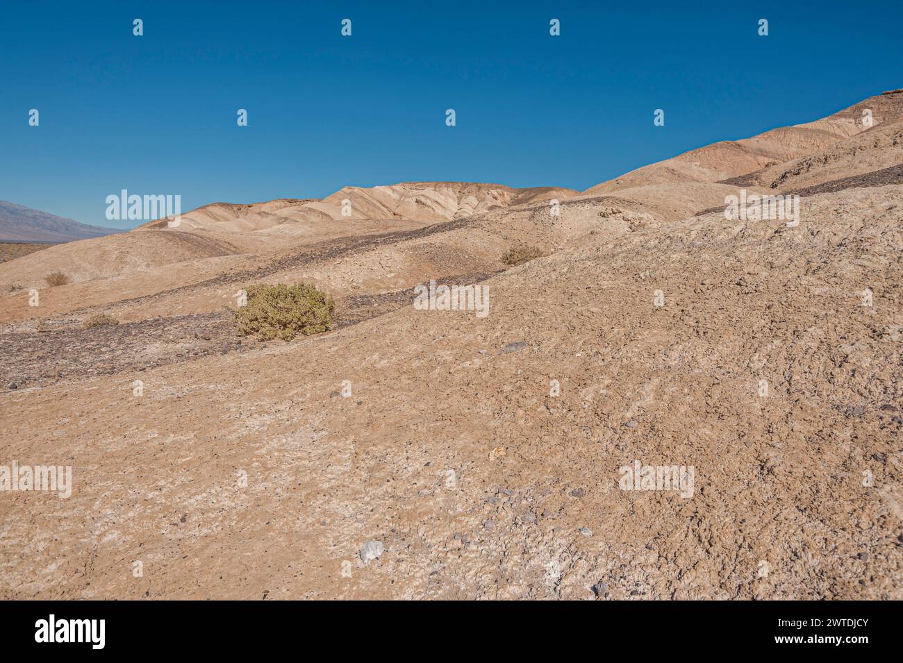 Death Valley Arroyo oder Dry River Bed, USA Stockfoto