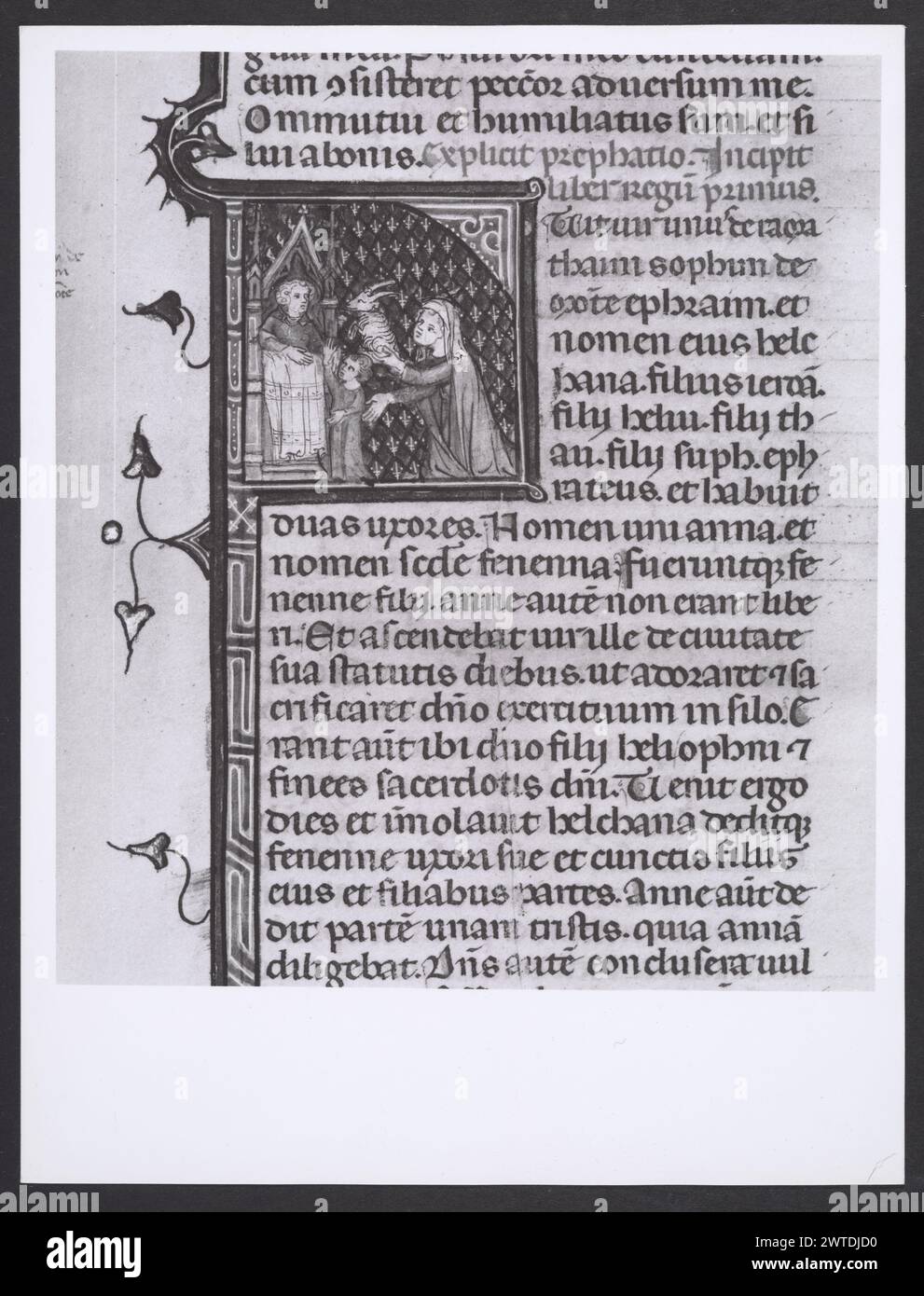 Emilia-Romagna Forli Cesena Biblioteca Comunale0. Hutzel, Max. 1960-1990 .. Mittelalter: Manuskripte: 1) Laurentius Rusius: 'De cura equorum' (15. Jahrhundert) BCM S.XXVI.2 2) Paolo Veneto: 'Geschichte der Ursprünge der Welt durch Heinrich VII.' (14. Jahrhundert) BCM S.XI.5 3) S. Isidorus: Etymologien (Ende des 8. bis Anfang des 9. Jahrhunderts) BCM S.XXI.5 4) Evangeliumsbuch (Evangeliario), Griechisch (10. Jahrhundert) BCM D.XXVII.4 5) Pentateuch, Propheten und Hagiographien, Hebräisch (1348) BCM S.XXIX.1 6) Somnium Scipionis, Sonstiges. (14.-15. Jahrhundert) BCM S.XII.6 7) Boethius: "De Consolatione Philosophie" (14. Jahrhundert) BCM Stockfoto