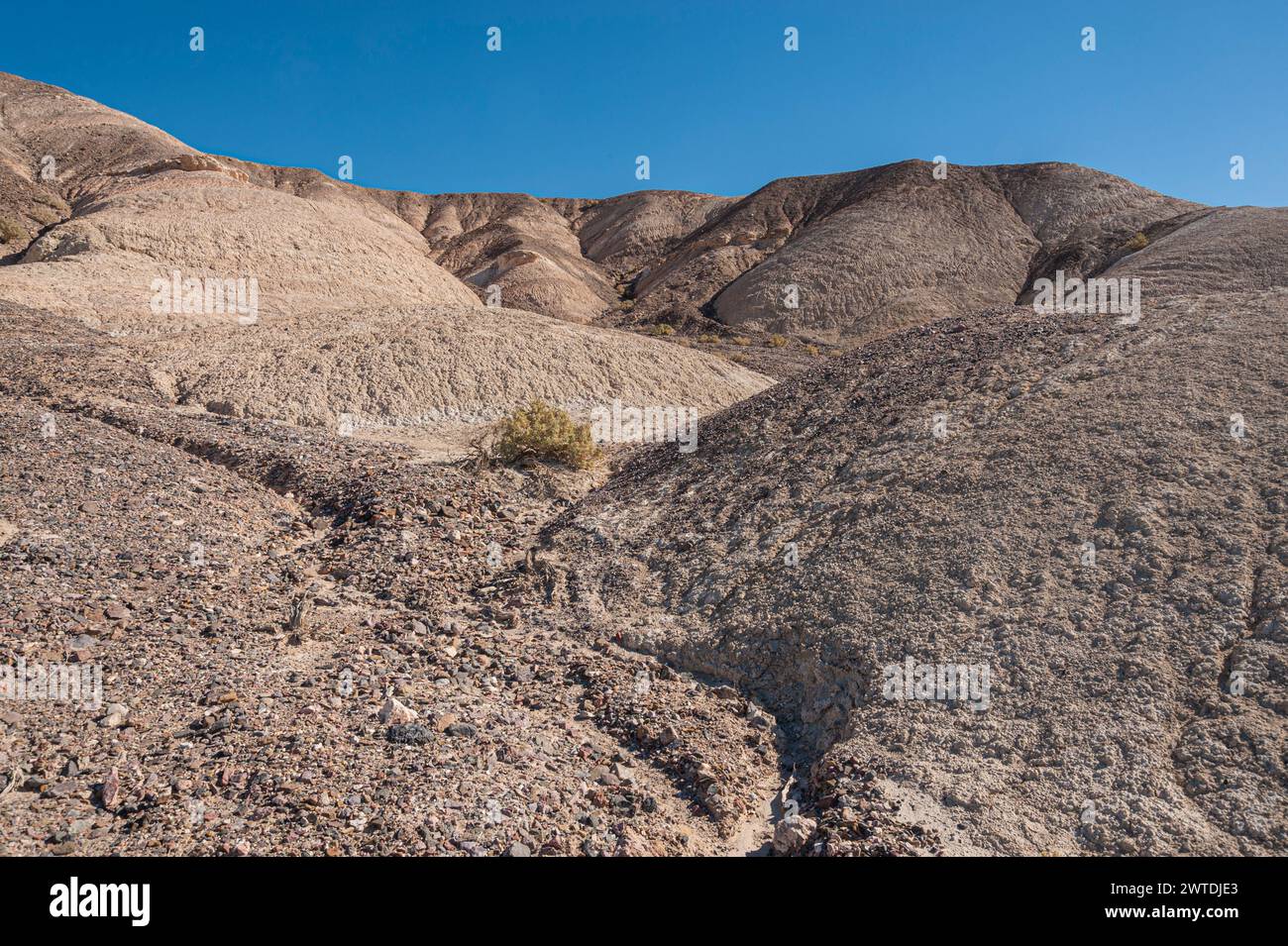 Death Valley Arroyo oder Dry River Bed, USA Stockfoto