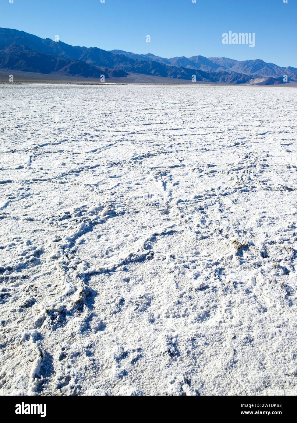 Weiße Salzflächen, Death Valley California USA Stockfoto