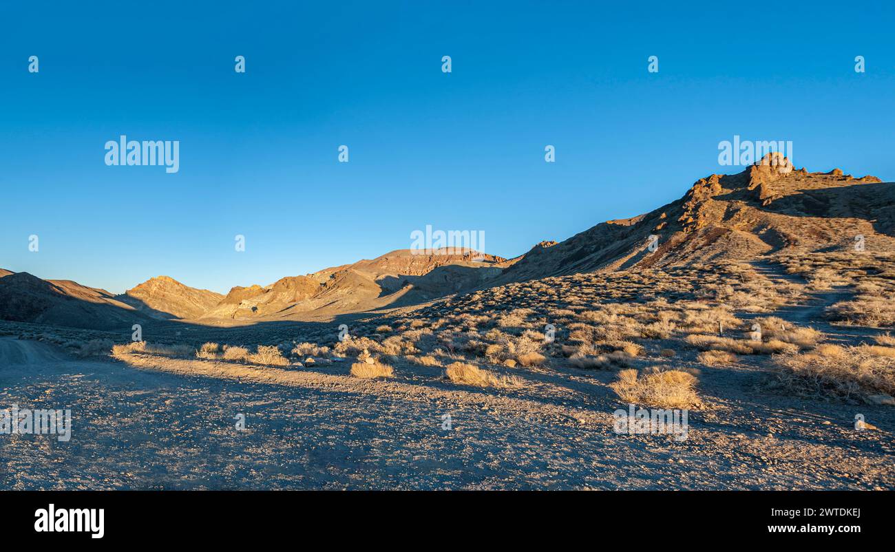 Wüste Nevada, USA Stockfoto