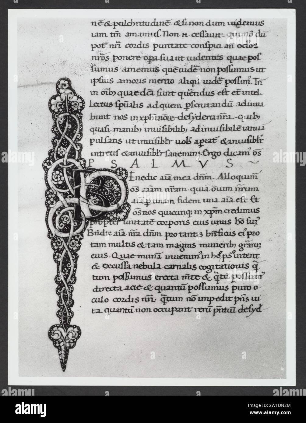 Emilia-Romagna Forli Cesena Biblioteca Comunale53. Hutzel, Max. 1960-1990 .. Mittelalter: Manuskripte: 1) Laurentius Rusius: 'De cura equorum' (15. Jahrhundert) BCM S.XXVI.2 2) Paolo Veneto: 'Geschichte der Ursprünge der Welt durch Heinrich VII.' (14. Jahrhundert) BCM S.XI.5 3) S. Isidorus: Etymologien (Ende des 8. bis Anfang des 9. Jahrhunderts) BCM S.XXI.5 4) Evangeliumsbuch (Evangeliario), Griechisch (10. Jahrhundert) BCM D.XXVII.4 5) Pentateuch, Propheten und Hagiographien, Hebräisch (1348) BCM S.XXIX.1 6) Somnium Scipionis, Sonstiges. (14.-15. Jahrhundert) BCM S.XII.6 7) Boethius: "De Consolatione Philosophie" (14. Jahrhundert) v. Chr Stockfoto