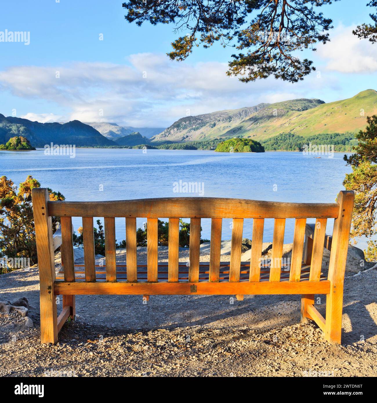 Eine hölzerne Bank blickt vom Schönheitsort von Friar's Crag über das Wasser von Derwent Stockfoto