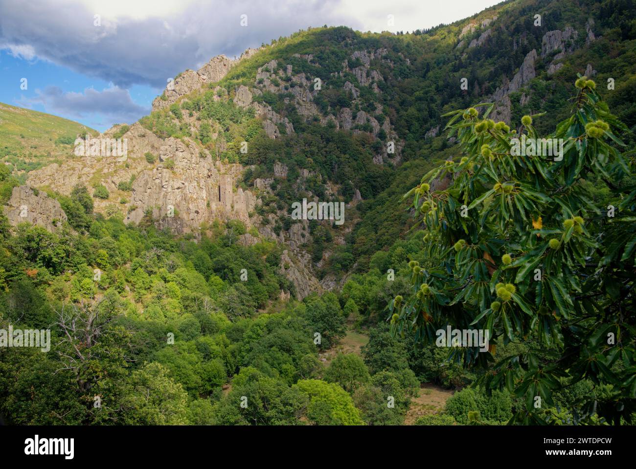 les Gorges et la Tour de Borne au pied du petit Village de Borne dans le Vercors Stockfoto