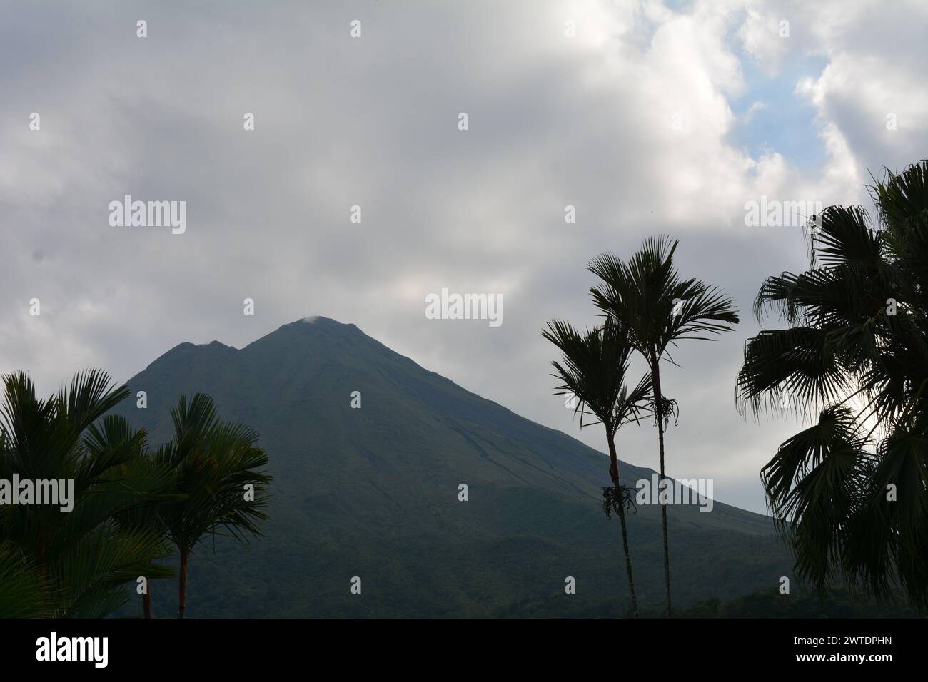 Verschiedene Personen, die an Aktivitäten am Strand von Costa Rica beteiligt sind Stockfoto