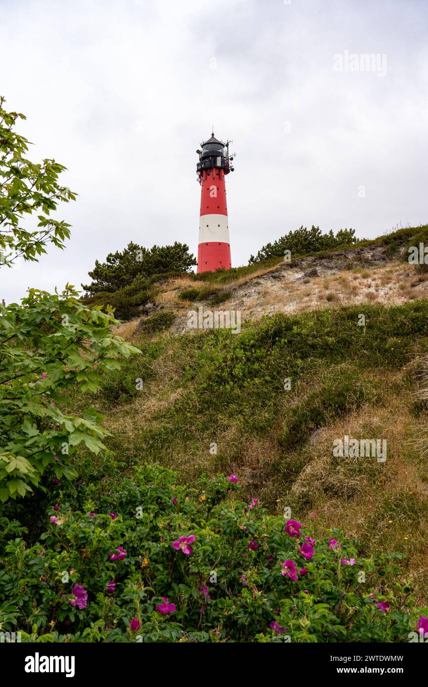 Ein hoher Leuchtturm Hornum auf der Insel Sylt, Ostsee, Deutschland Stockfoto