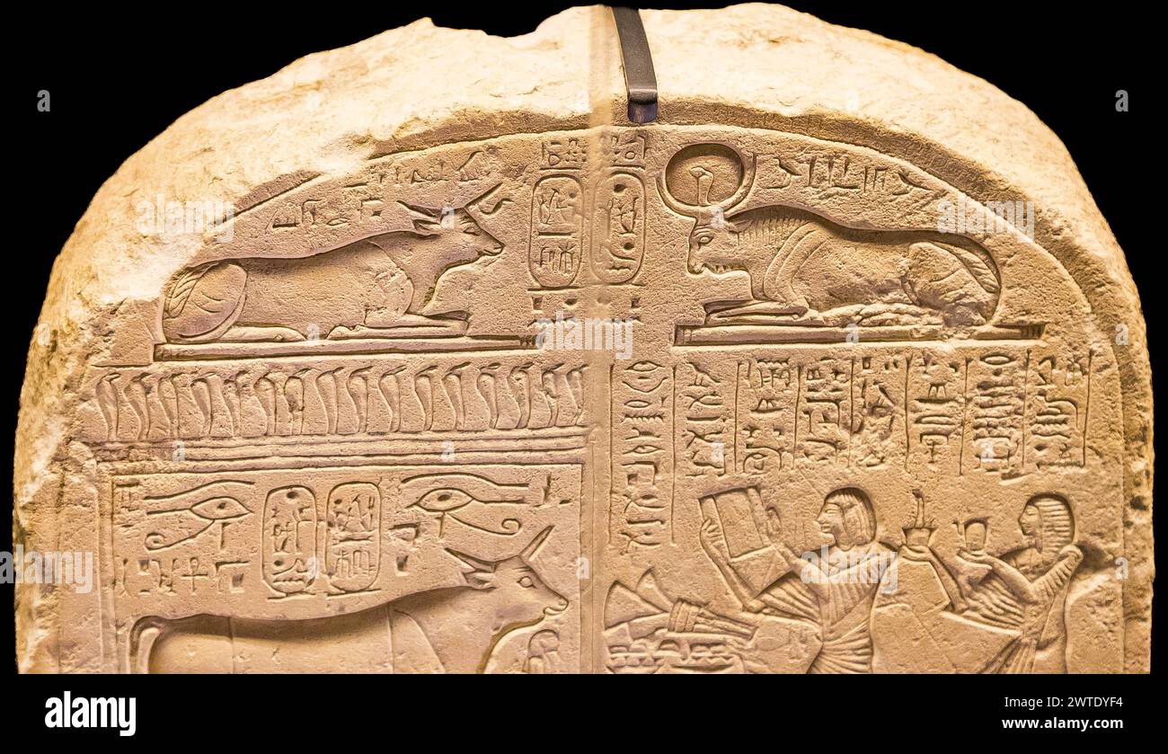 Ägypten, Sakkara, Serapeum, APIs Stierstele, auch ein anderer heiliger Stier: Mnevis. Stockfoto