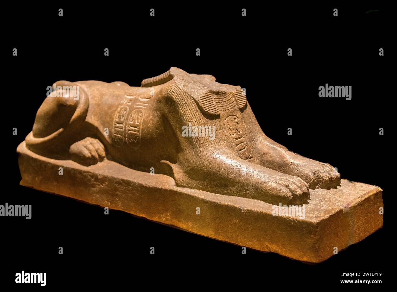 Ägypten, Sakkara, Sphinx von Ramses II., gefunden im Serapeum. Stockfoto