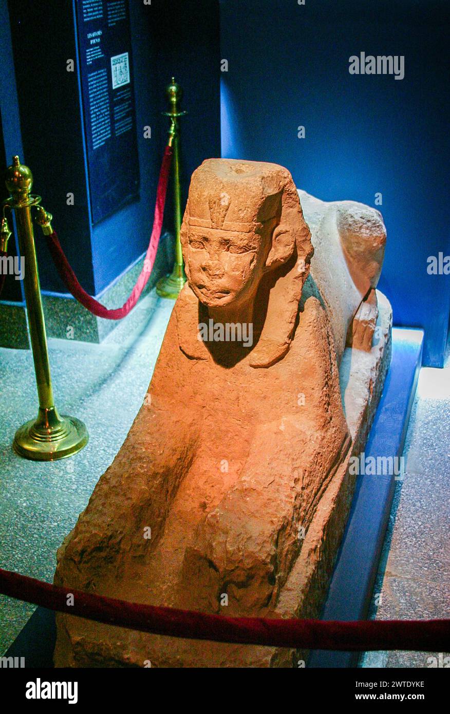 Ägypten, Sakkara, Imhotep-Museum, Sphinx, die wahrscheinlich König Ounas darstellt. Stockfoto