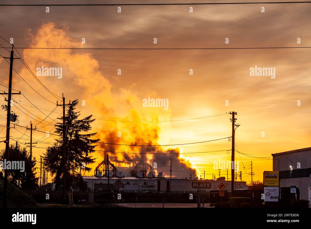 Der Sonnenaufgang beleuchtet eine Dampfwolke, die aus einem Stromerzeugungswerk in Modesto, Kalifornien, im Modesto Berigation District, fließt. Stockfoto