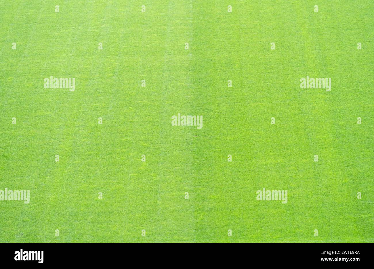 Natürliches grünes Gras Rasen Fußballfeld. Textur der Fußballarena im Hintergrund. Stockfoto