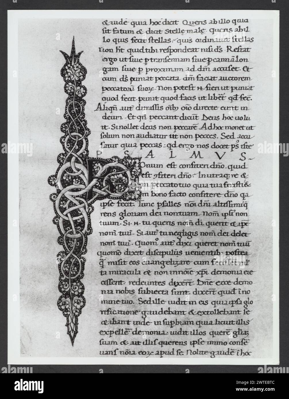 Emilia-Romagna Forli Cesena Biblioteca Comunale51. Hutzel, Max. 1960-1990 .. Mittelalter: Manuskripte: 1) Laurentius Rusius: 'De cura equorum' (15. Jahrhundert) BCM S.XXVI.2 2) Paolo Veneto: 'Geschichte der Ursprünge der Welt durch Heinrich VII.' (14. Jahrhundert) BCM S.XI.5 3) S. Isidorus: Etymologien (Ende des 8. bis Anfang des 9. Jahrhunderts) BCM S.XXI.5 4) Evangeliumsbuch (Evangeliario), Griechisch (10. Jahrhundert) BCM D.XXVII.4 5) Pentateuch, Propheten und Hagiographien, Hebräisch (1348) BCM S.XXIX.1 6) Somnium Scipionis, Sonstiges. (14.-15. Jahrhundert) BCM S.XII.6 7) Boethius: "De Consolatione Philosophie" (14. Jahrhundert) v. Chr Stockfoto