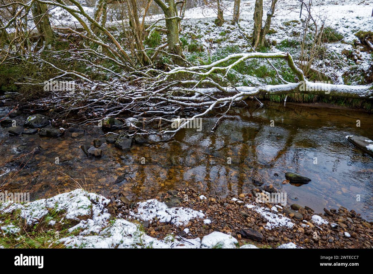 Cotter Beck im Winter, Cotterdale, Yorkshire Dales National Park Stockfoto