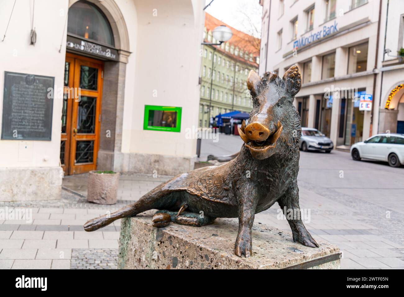 München - 23. Dezember 2021: Sitzende Eberskulptur vor dem Fischerei- und Jagdmuseum am Marienplatz, München. Nachbildung des Porc Stockfoto