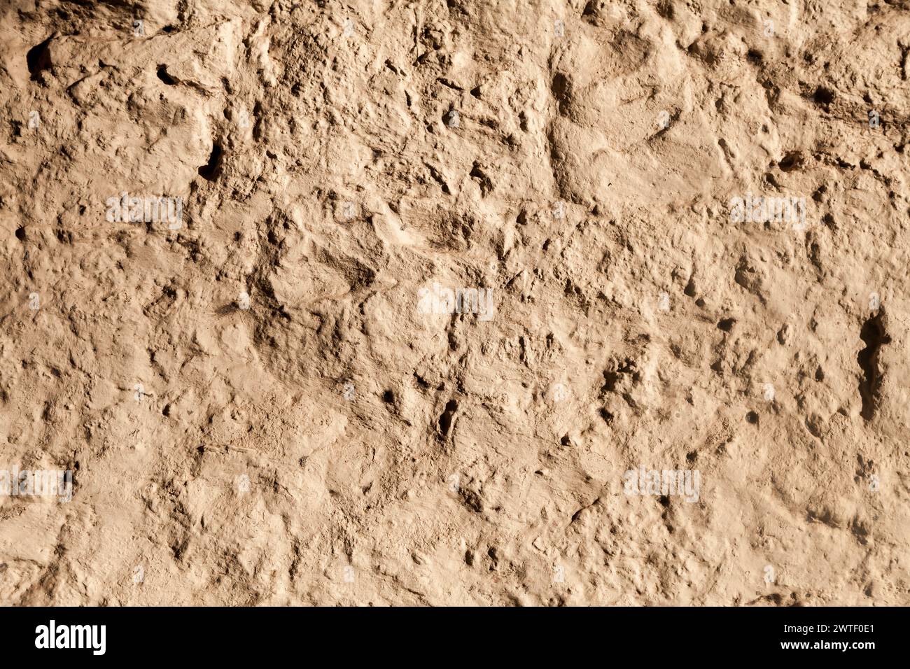 Raue gelbe Sandsteinmauer eines alten Gebäudes Stockfoto Raue gelbe Sandsteinmauer eines alten Gebäudes Stockfoto