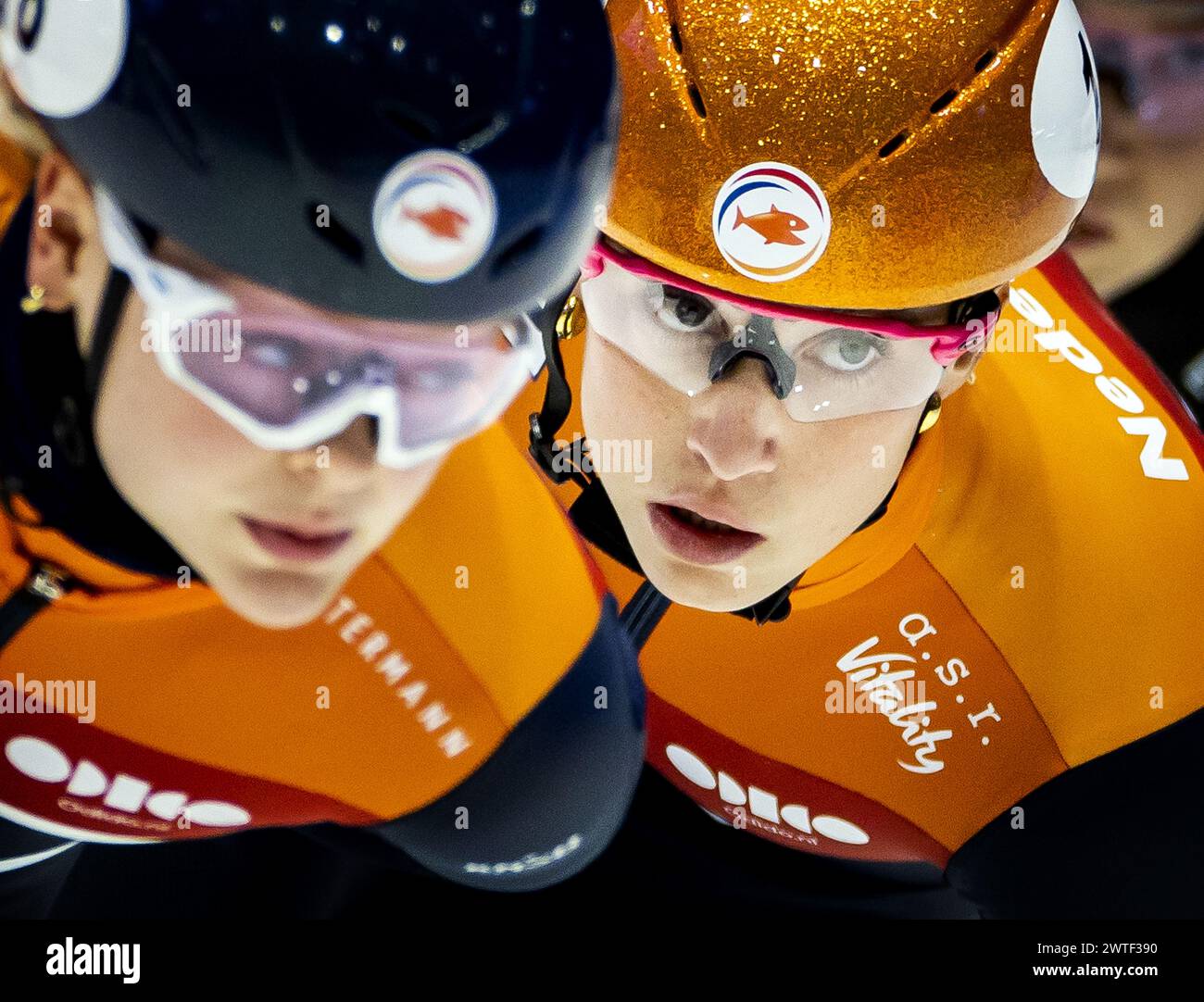 ROTTERDAM - Xandra Velzeboer (NED) und Suzanne Schulting (NED) im Halbfinale 1000 Meter Frauen bei den Kurzstreckenweltmeisterschaften in Ahoy. ANP KOEN VAN WEEL Stockfoto